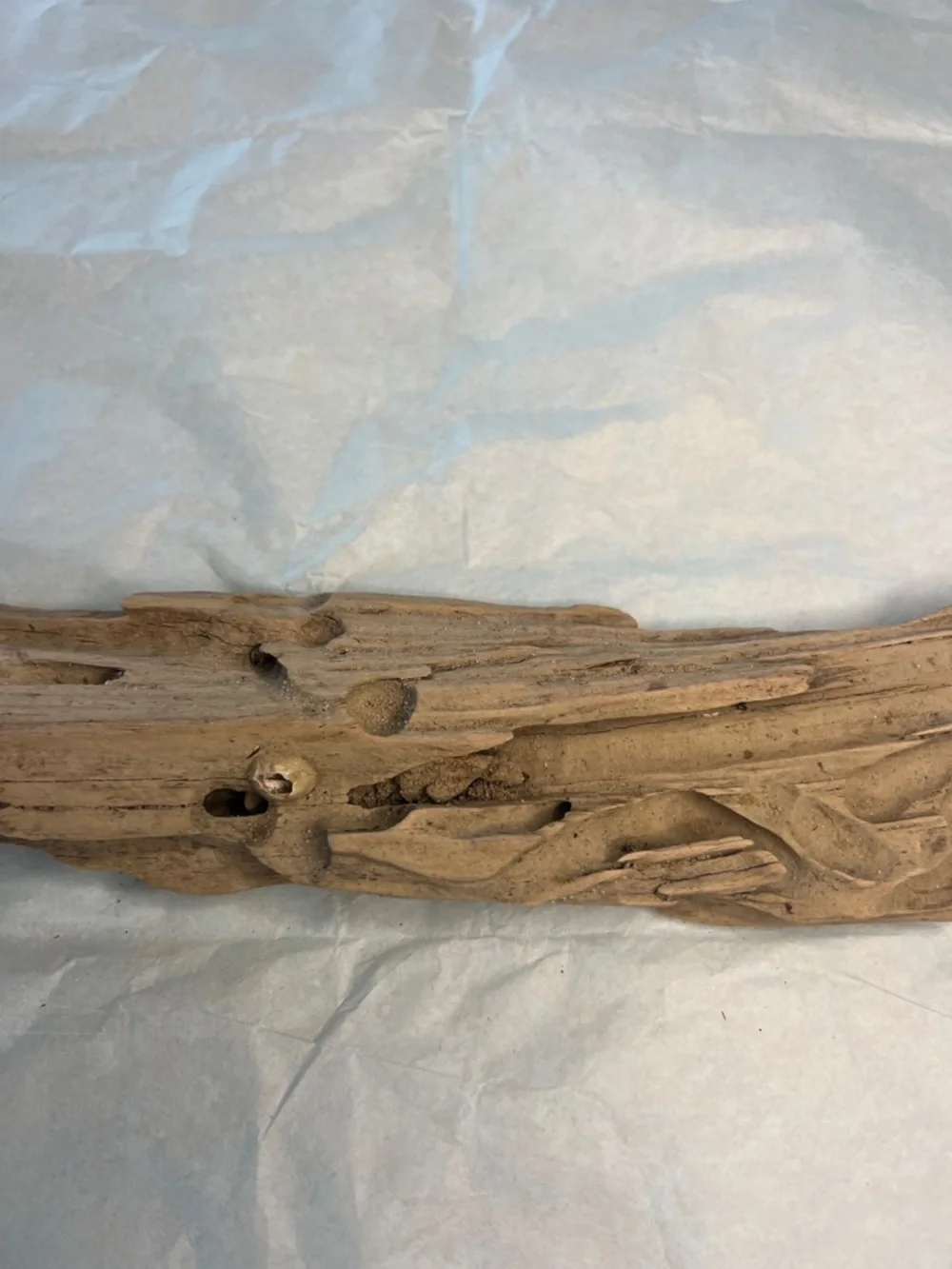 Natural Driftwood Decor found at Potomac River- Brown - Picture 5 of 14